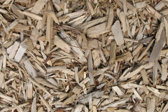 biomass boilers Woodlands